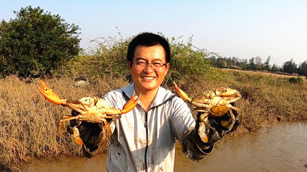 渔夫换了个地方赶海，这个地方螃蟹真大！区区几只蟹卖钱300多