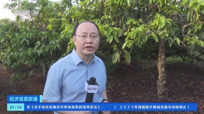 经济信息联播 《经济信息联播》 20240615