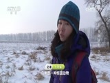 地理中国 《地理中国》 20170106 冬日奇景·海雕谜影（下）