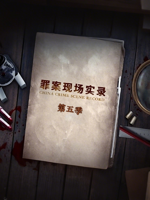 罪案现场实录 第五季 海报