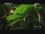 动物世界 《动物世界》 20140808 动物零距离（三）