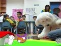 狗狗日记 第269天 午餐的约会