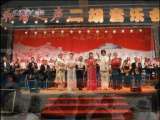 风华国乐 风华国乐 2010年 第195期