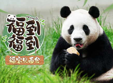 福到福到福宝见面会