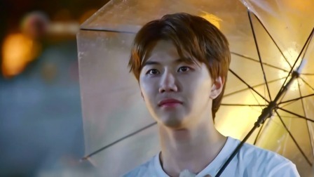 小宅思恒雨中偶遇别样版纳，探秘领队科普热带雨林知识