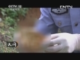 天网 《天网》 20130718 山谷冤魂