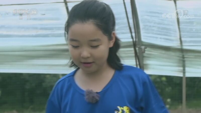 快乐体验 《快乐体验》 20201119 小鬼当家