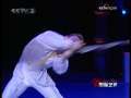 国际艺苑 国际艺苑 2009暑期特别节目 7 第26届法国明日国际杂技节