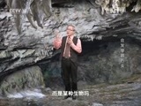 地理中国 《地理中国》 20150830 会发芽的石头