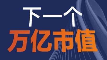 老虎大概两分钟 谁是下一个万亿市值大佬