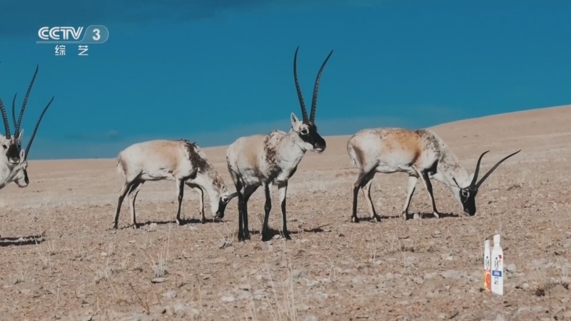 《文化十分》 20260130