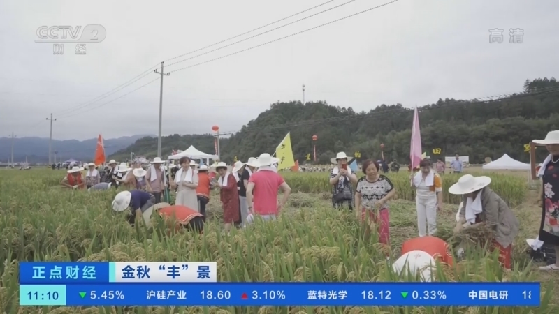 正点财经 《正点财经》 20221017 11:00