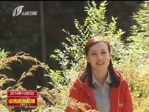 山西新闻联播 《山西新闻联播》 20141002