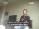 焦点访谈 《焦点访谈》 20160717 林权没了 希望断了
