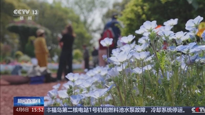 《新闻直播间》 20260406 15:00