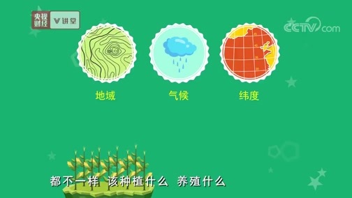 中国经济大讲堂 《央视财经V讲堂》 20190625 家乡要发展 怎么规划才最好？