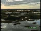 人与自然 人与自然 2010年 第9期 2010-12-11