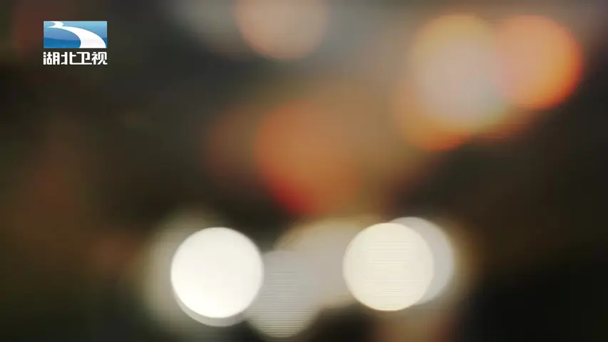 《东北王张作霖》第2集
