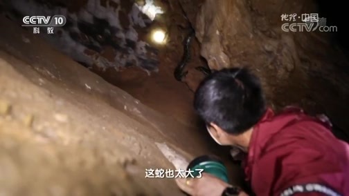 地理中国 《地理中国》 20181216 仙湖奇岛