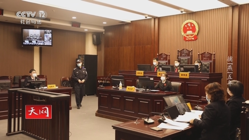 天网 《天网》 20230919 捕“燕”五年