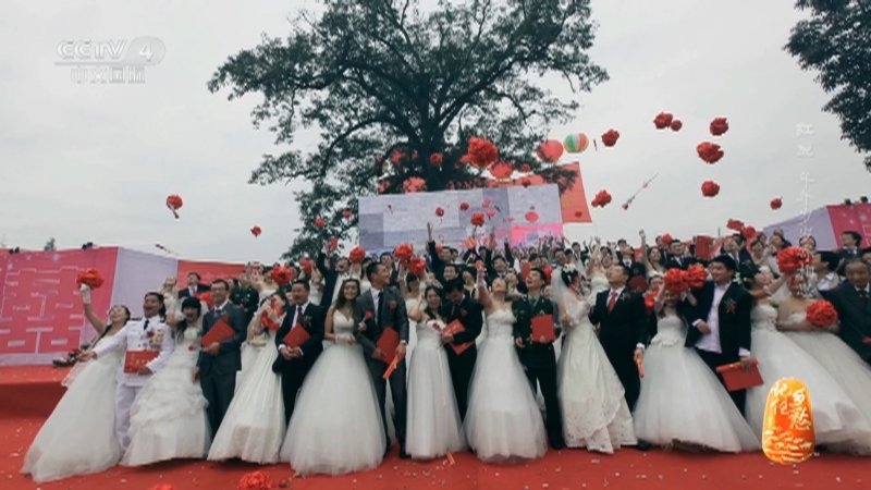 《记住乡愁》第九季 20230806 红豆——年年岁岁寄相思