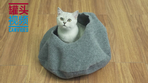 举起爪儿来 DIY猫咪暖身窝