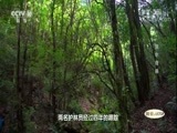 地理中国 《地理中国》 20180521 生物多样性·哀牢奇兽