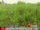 今日说法 《今日说法》 20161217 200米 16年