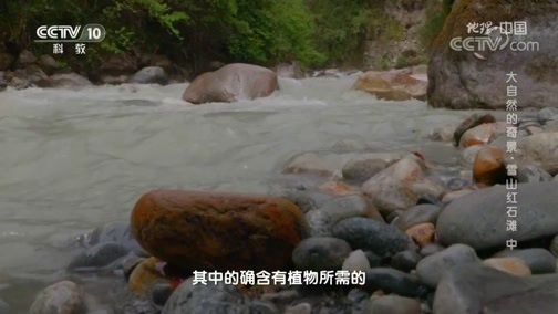 地理中国 《地理·中国》 20200222 大自然的奇景·雪山红石滩 中