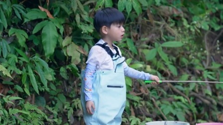 会员版：抓鱼活动开始，嘴强王者上线