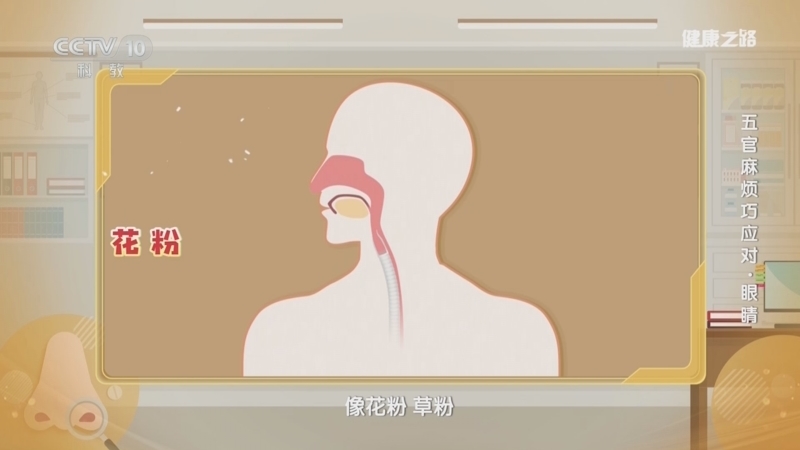 健康之路 《健康之路》 20240731 五官麻烦巧应对·眼睛