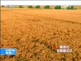 东方时空 《东方时空》 20161004