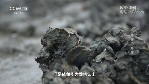 地理中国 《地理中国》 20181125 秘境寻踪·神奇的海湾