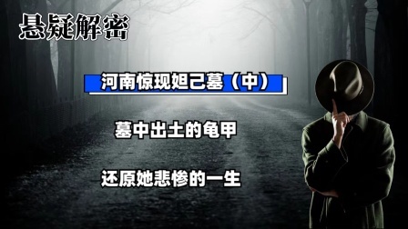 河南惊现妲己墓（中）墓中出土的龟甲，还原她悲惨的一生