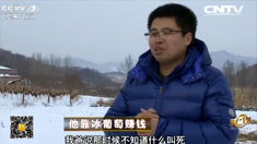 致富经 [致富经]他靠冰葡萄赚钱(20160322)