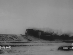 疯狂的日本参谋第三集