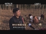 致富经 《致富经》 20150129 我为父母返乡创业