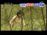 中国电影报道 中国电影报道 2010年 第22期
