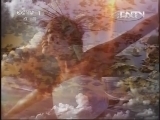 人与自然 《人与自然》 20130506 自然启示 集群的奥秘——逃离困境