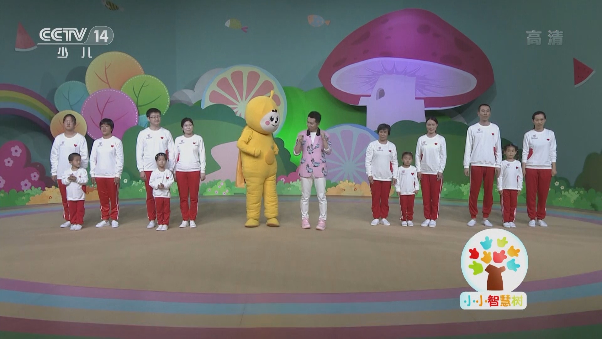 《小小智慧树》 20211008