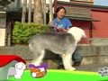 狗狗日记 第264天 奇怪的声音
