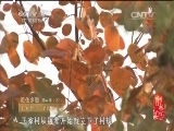 记住乡愁第一季 《记住乡愁 第一季》 20150127 第二十七集 于家村——守礼德自高