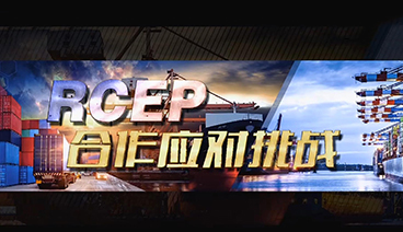 深度国际 《深度国际》 20201128 RCEP 合作应对挑战