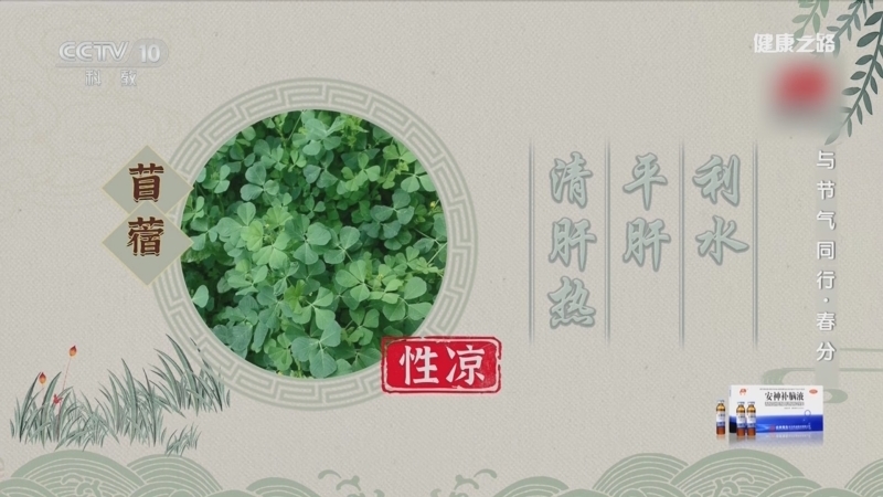 《健康之路》 20260319 与节气同行·春分