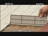 焦点访谈 《焦点访谈》 20130831 简约的精彩/中国战鹰 海外首秀