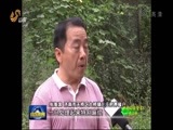 山东新闻联播 《山东新闻联播》 20170819