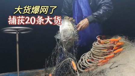 南澳岛赶海日记 彪哥外海大货爆网了，接连捕获20条大货，运气开始火爆起来了