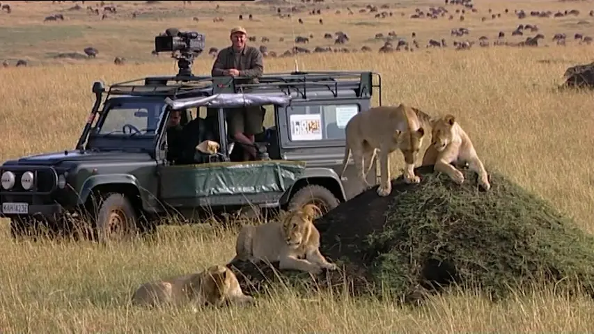 《大猫日记第六季》第2集