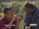 生财有道 [生财有道]种出来的健康产业(20130117)