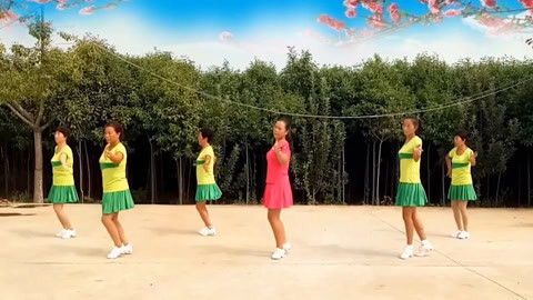 广场舞 广场舞《我的祖国》